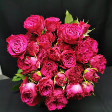Pink Roses